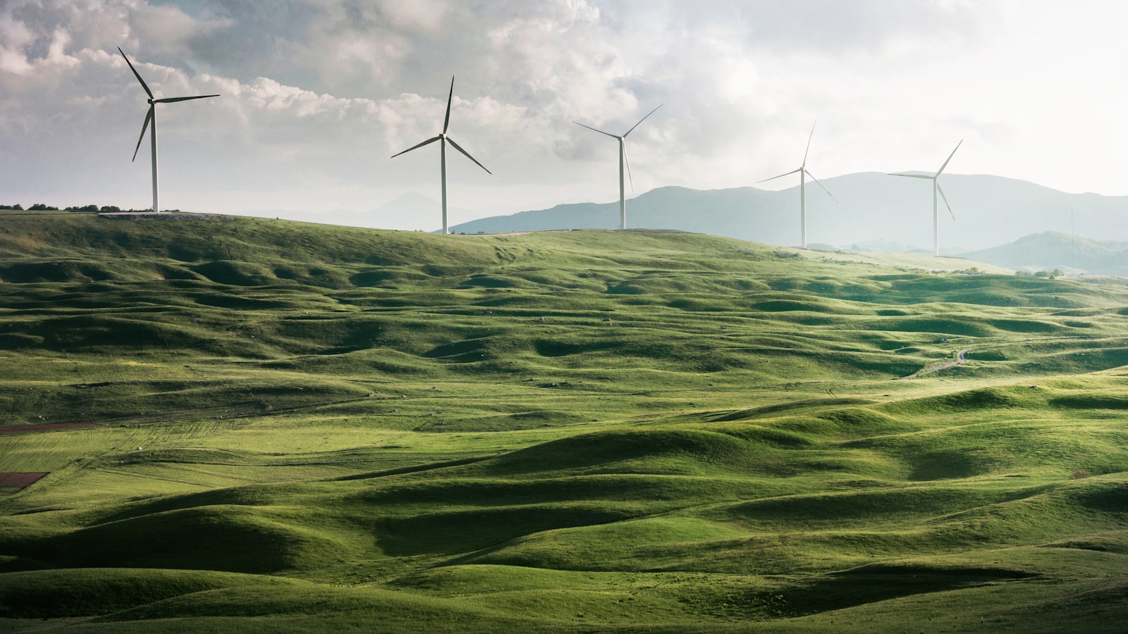 Wind Farms